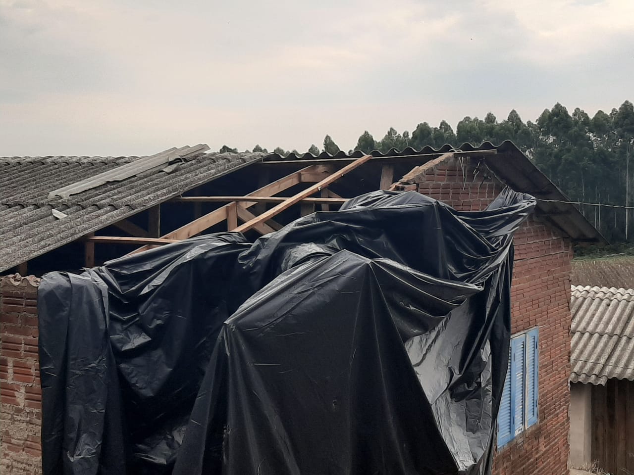 WhatsApp Image 2022-01-18 at 16.56.04